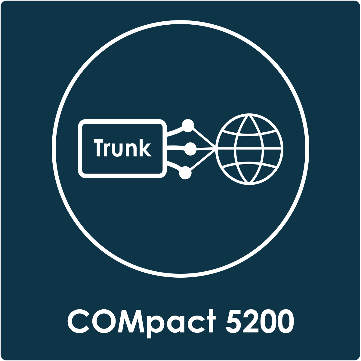 201008_Auerswald_COMpact5200_Amtkanaele Graphic symbol for the Voucher Option to expand to max. 20 external VoIP channels