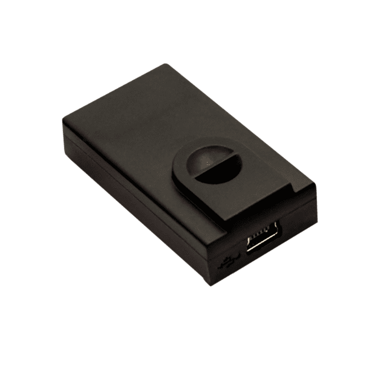Schwarzes Einsteckmodul mit Mini-USB-Buchse.