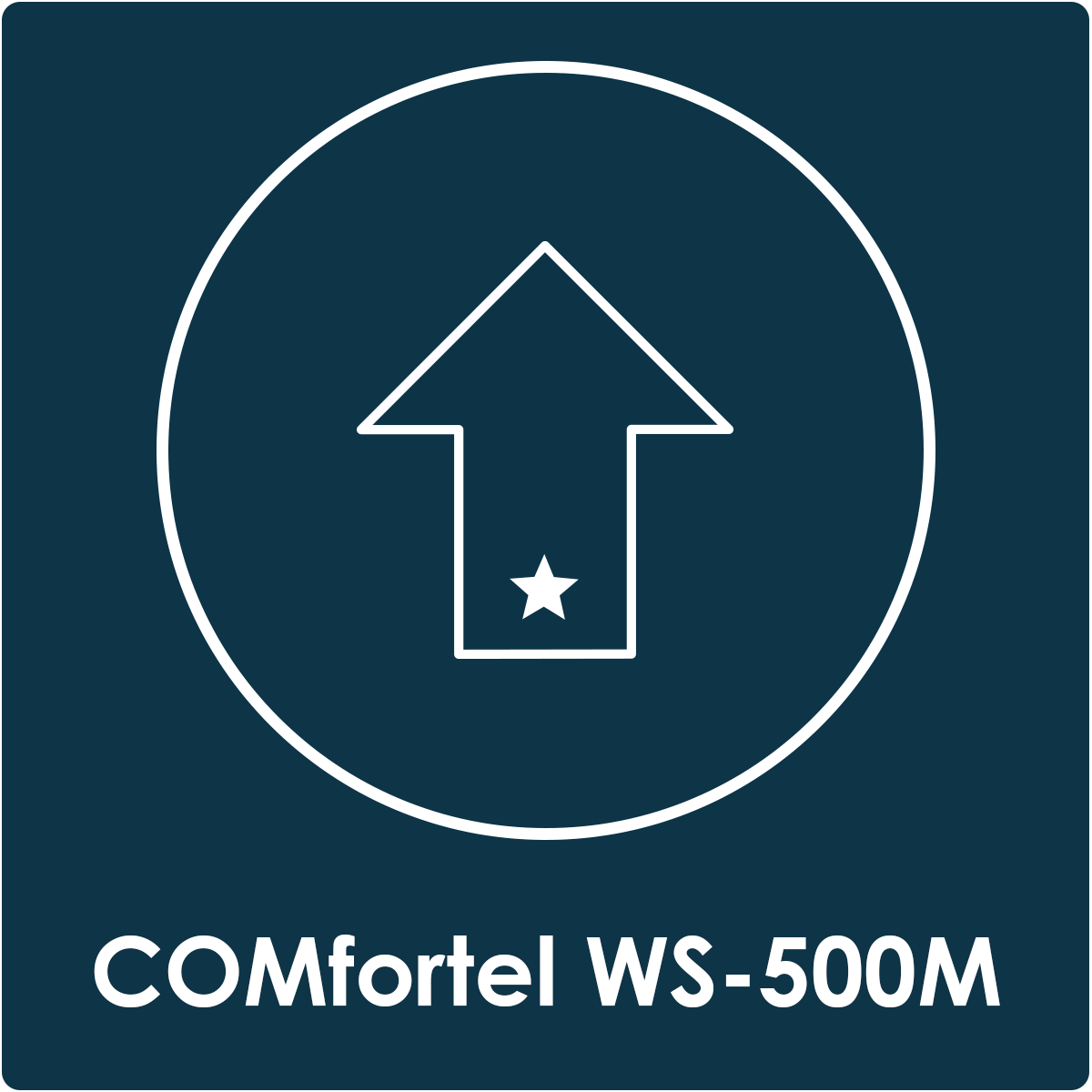 Grafiksymbol für den Voucher Lizenz WS-500M Manager