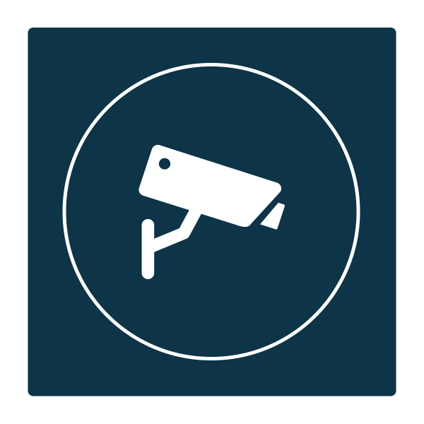 IP-Kamera-Unterstützung